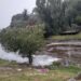 Por la lluvias, los arroyos se desbordan en la comarca. Mira el video