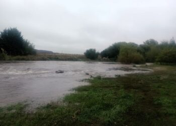 Por la lluvias, los arroyos se desbordan en la comarca. Mira el video