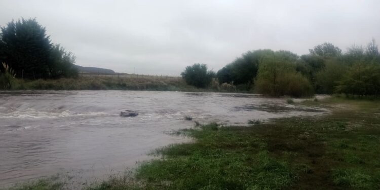 Por la lluvias, los arroyos se desbordan en la comarca. Mira el video