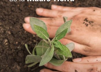 Día de la tierra: “Las condiciones adversas van superando las situaciones anteriores”