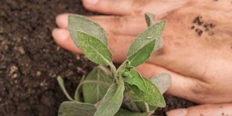 Día de la tierra: “Las condiciones adversas van superando las situaciones anteriores”