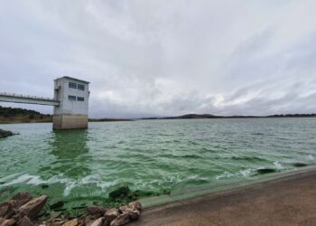 Crisis por el agua en Bahía Blanca: ABSA pide que sólo sea utilizada para bañarse e hidratarse