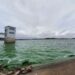 Crisis por el agua en Bahía Blanca: ABSA pide que sólo sea utilizada para bañarse e hidratarse