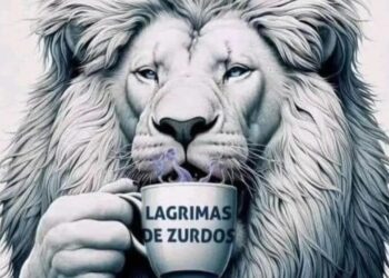 La desafiante reacción de Javier Milei a la marcha universitaria