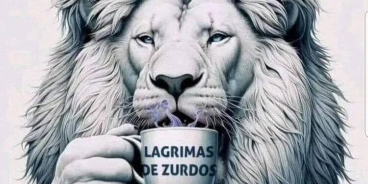 La desafiante reacción de Javier Milei a la marcha universitaria