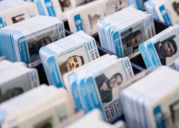 Aseguran que no se vieron comprometidos datos sensibles de las licencias de conducir robados