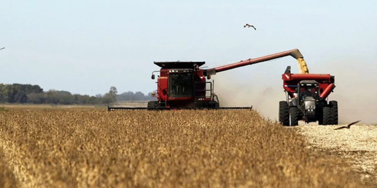 DESAFÍOS Y POTENCIALIDADES, una mirada a la Provincia de Buenos Ayres