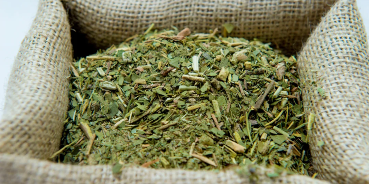 Se frenaron los artículos del DNU que le impedía fijar precios al Instituto Nacional de la Yerba Mate