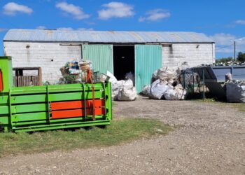 Liliana Diehl: “Tenemos una capacidad productiva al límite”