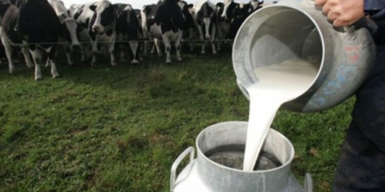 Advierten que la producción de leche es la más baja de los últimos cinco años