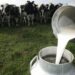 Advierten que la producción de leche es la más baja de los últimos cinco años