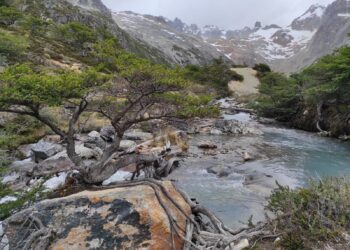 Aumentan hasta un 400% las entradas a los Parques Nacionales