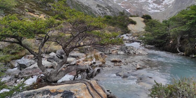 Aumentan hasta un 400% las entradas a los Parques Nacionales