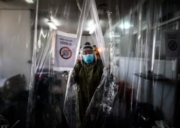 Argentina no suscribiría el acuerdo pandémico de la OMS: de qué se trata y cuáles son sus principales puntos