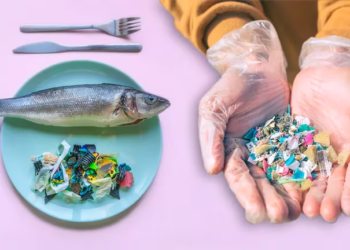 ¿Cuánto plástico consumimos por semana sin darnos cuenta?