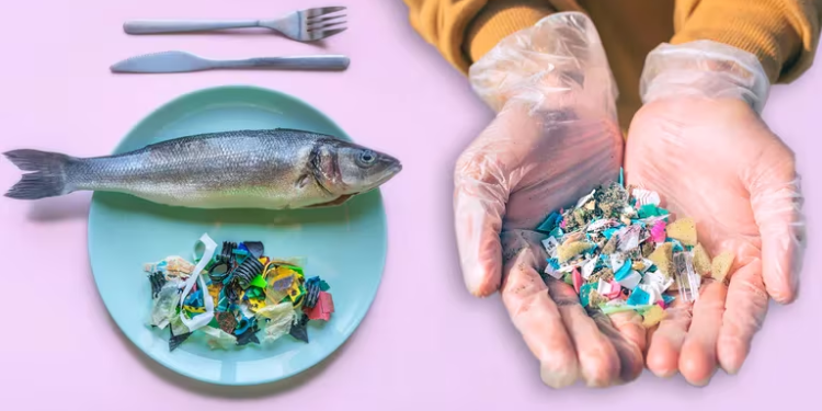 ¿Cuánto plástico consumimos por semana sin darnos cuenta?