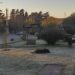 Bajo cero: Amanecer helado en la comarca; como estará el finde.