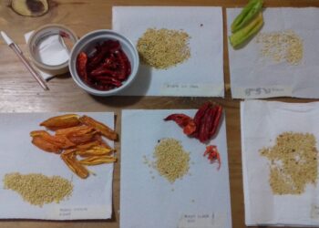 “Si desaparece el ProHuerta, desde INTA seguiremos asesorando y acompañando”