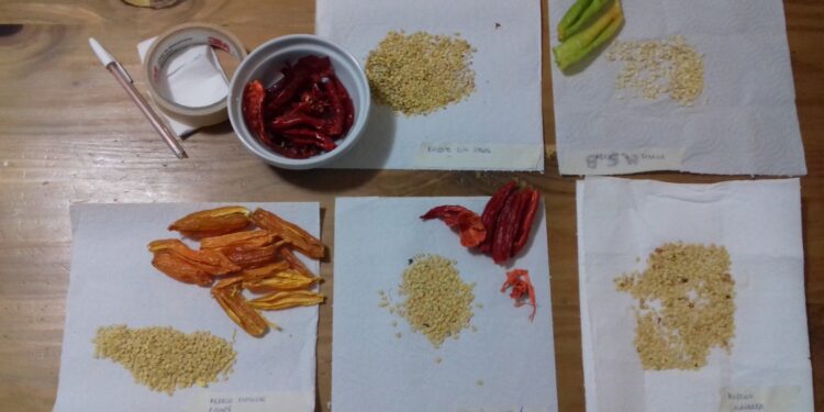 “Si desaparece el ProHuerta, desde INTA seguiremos asesorando y acompañando”