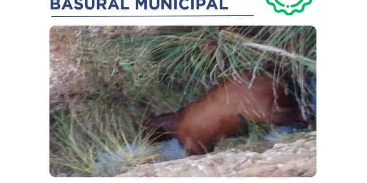 Bloques JxC UCR: Falta de control en el basural municipal