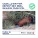 Bloques JxC UCR: Falta de control en el basural municipal