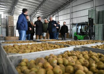 Agregado de valor y fortalecimiento institucional de cooperativas bonaerenses