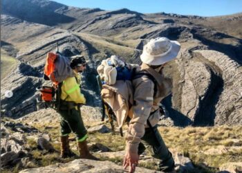 “Logramos contener la invasión de pinos en Sierras Grandes”