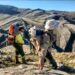 “Logramos contener la invasión de pinos en Sierras Grandes”