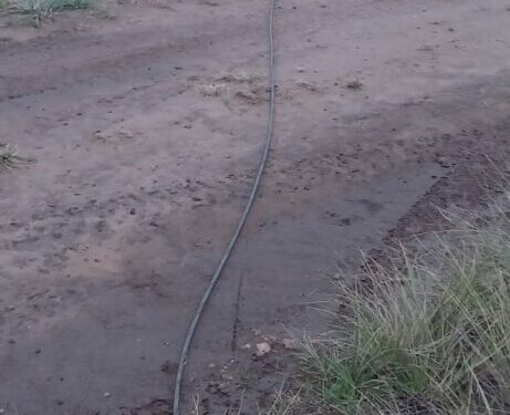 Tornquist: hubo cortes de energía por intentos de robo de cables