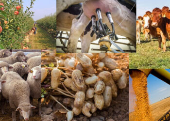 Las economías agropecuarias empeoraron su situación