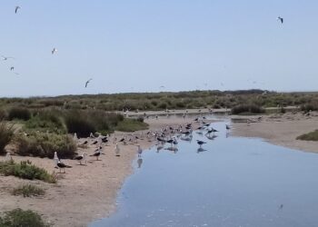 “En Sílice buscamos que se enseñe con una perspectiva ambiental”