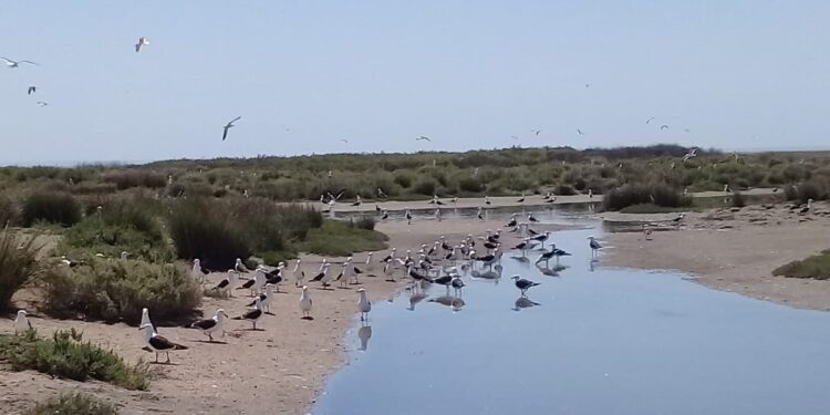 “En Sílice buscamos que se enseñe con una perspectiva ambiental”