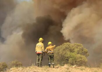 Córdoba: el fuego afectó más de 6.000 hectáreas pero sería contenido en las próximas horas