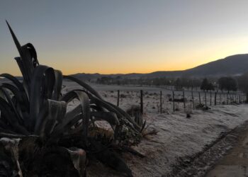La ola polar afecta a más de la mitad del país: Buenos Aires y otras ocho provincias están bajo alerta roja
