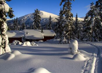 Video: la Patagonia vestida de blanco suspira por las casas del árbol noruegas