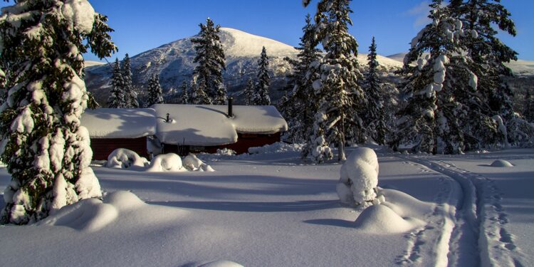 Video: la Patagonia vestida de blanco suspira por las casas del árbol noruegas