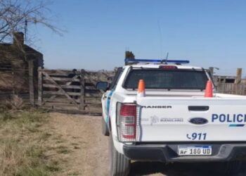 Otra vez Pringles: a los tiros, ladrones se robaron siete lechones de una quinta Actualidad