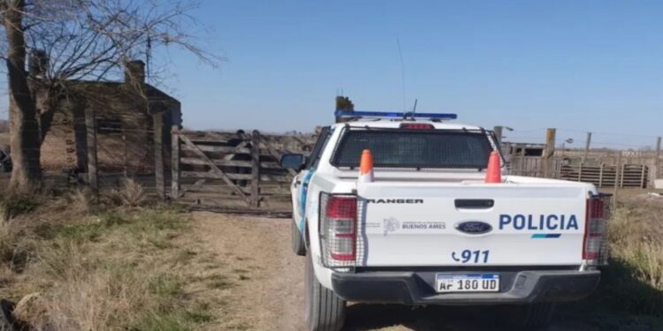 Otra vez Pringles: a los tiros, ladrones se robaron siete lechones de una quinta Actualidad
