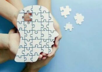 “Afortunadamente la Ley Bases no modificó la salud mental”