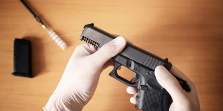 En qué consiste el proyecto de ley para regularizar la tenencia de armas