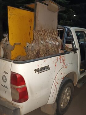 Tres cazadores furtivos de Pigüe fueron infraccionados en Chasicó.
