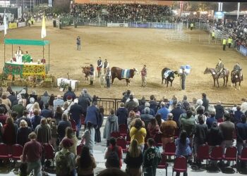 Más de 1.300.000 personas visitaron la Expo Rural