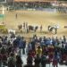 Más de 1.300.000 personas visitaron la Expo Rural