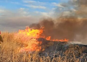 Córdoba en llamas: alerta por incendio en Ascochinga y en toda la provincia