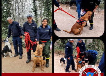 Gustavo De Vizia brindó detalles de la búsqueda y rescate dada el fin de semana