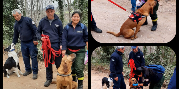 Gustavo De Vizia brindó detalles de la búsqueda y rescate dada el fin de semana