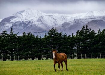 Como lo anticipamos: Nevó en las Sierras de Ventania