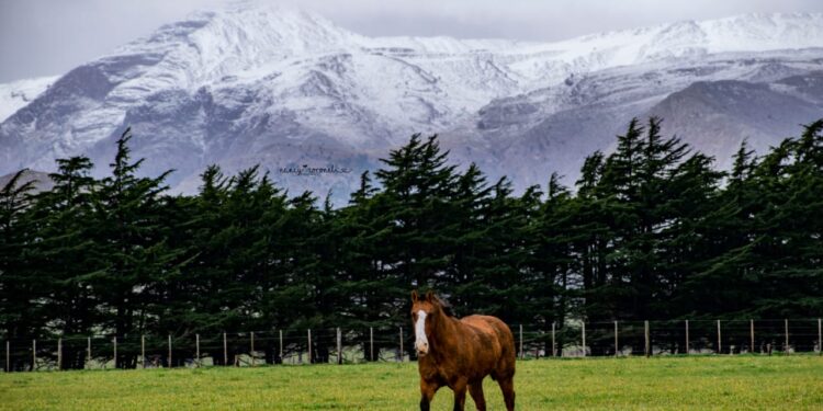 Como lo anticipamos: Nevó en las Sierras de Ventania