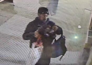 La policía encontró al ladrón de calle San Martín