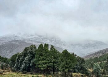 Como lo anticipamos: Nevó en las Sierras de Ventania